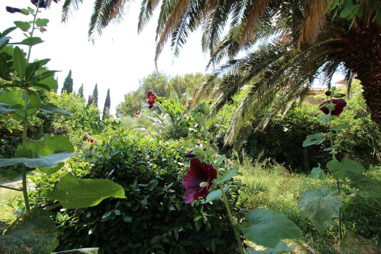 Villaer Center1